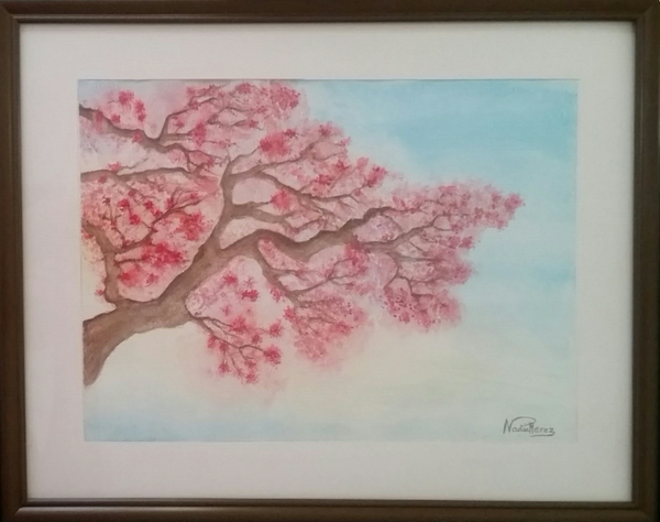 Cherry Blossom Tree