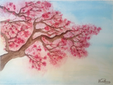 Cherry Blossom Tree